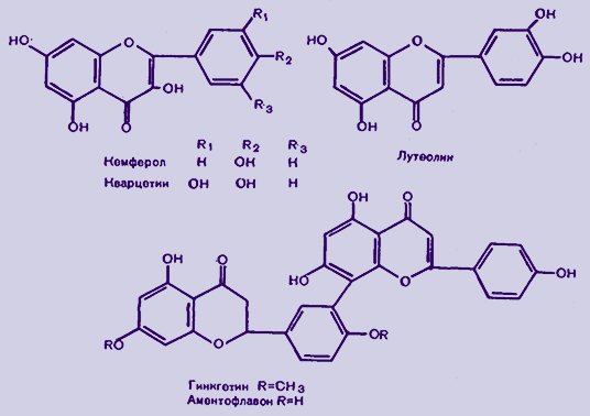 Кемпферол, кверцетин, лутеолин, гинкгетин, аментофлавон